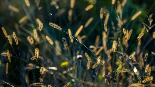 975853 (a): :1920x1080